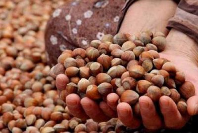 Alım fiyatları pazar şartlarının üzerinde olacak