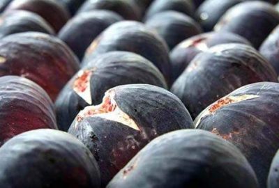 ‘Bursa siyahı’nda hedef 38 milyon dolarlık ihracat