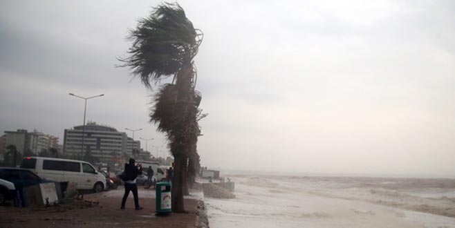 Süper hücre nedir, nasıl oluşur?