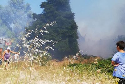 Gemlik’te tatilcileri korkutan yangın