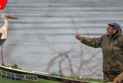 Filmin afişi yarışmayla belirlenecek