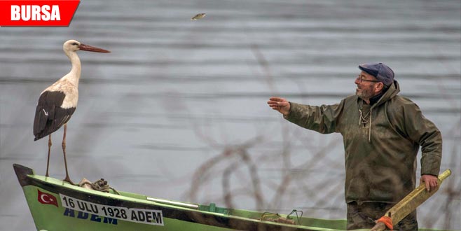 Filmin afişi yarışmayla belirlenecek Filmin afişi yarışmayla belirlenecek