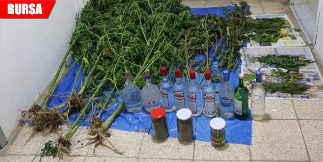 Uyuşturucuya geçit yok