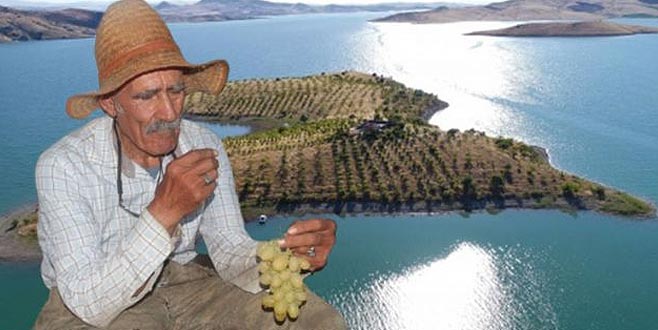 Gerçek bir ‘Robinson Crusoe’ hikayesi: 14 yıl önce keşfettiği adada tek başına yaşıyor