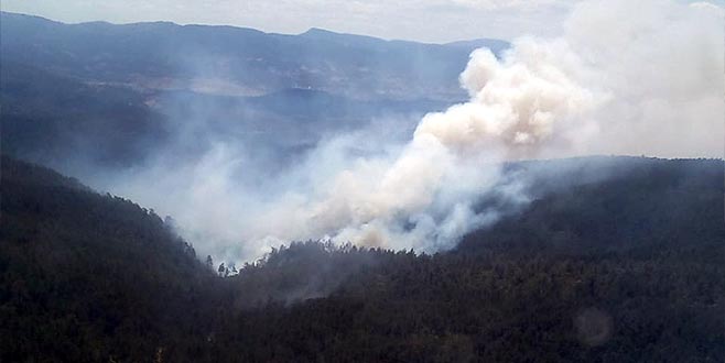 Bursa’da orman yangını: Sabotaj iddiası Bursa’da orman yangını: Sabotaj iddiası