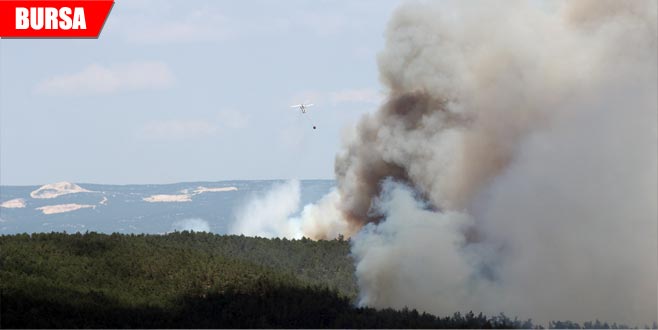Valilik’ten orman yangını açıklaması