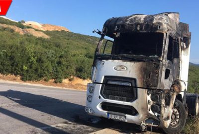 Park halindeki TIR alev alev yandı