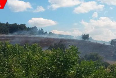 Bu kez büyümeden söndürüldü