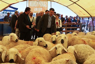 Bakan Pakdemirli kurban pazarında