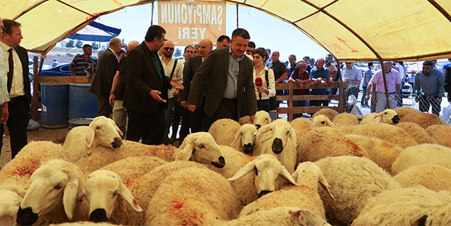 Bakan Pakdemirli kurban pazarında