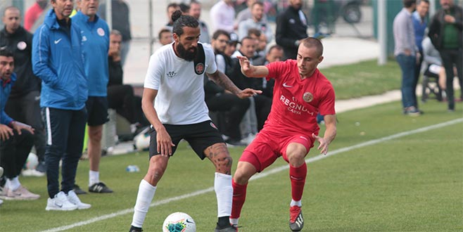 Karagümrük çetin ceviz