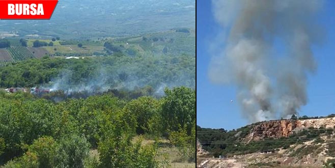 Korkutan yangına havadan ve karadan müdahale