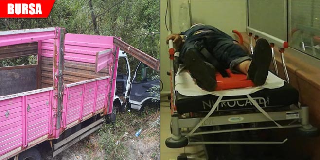Kamyonet şarampole uçtu: 1 yaralı