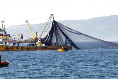 Av yasağı 1 Eylül’de bitiyor