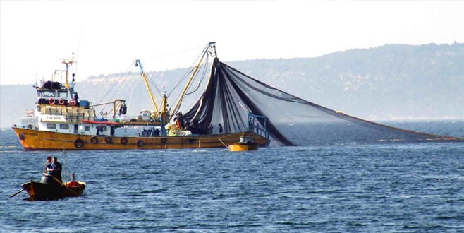 Av yasağı 1 Eylül’de bitiyor Av yasağı 1 Eylül’de bitiyor