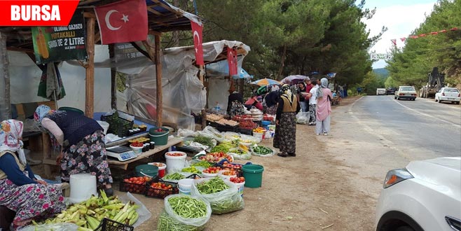 Yol kenarında satıyorlar! Hem organik hem ucuz…