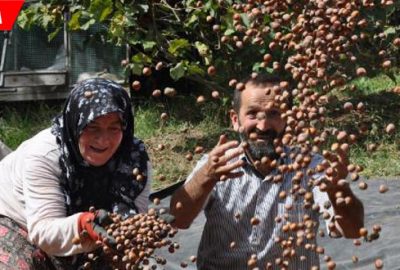 Fındık, üreticinin yüzünü güldürdü