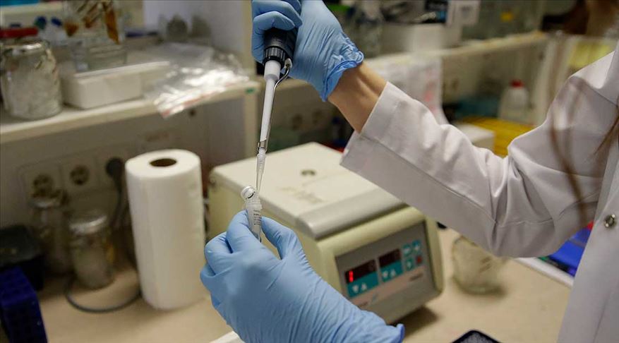 ‘Meme kanserinde akıllı ilaçlar, kemoterapiden daha etkili olabiliyor’ ‘Meme kanserinde akıllı ilaçlar, kemoterapiden daha etkili olabiliyor’