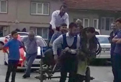 At arabasını damat çekti