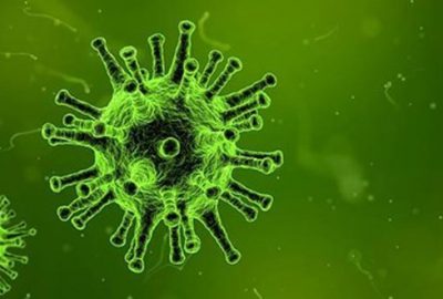 Batı Nil Virüsü Kuzey Kıbrıs Türk Cumhuriyeti’nde can aldı