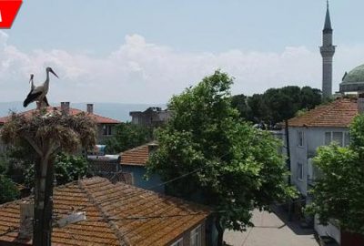 ‘Avrupa Leylek Köyü’nde göç başladı