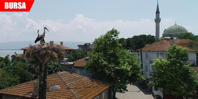 ‘Avrupa Leylek Köyü’nde göç başladı ‘Avrupa Leylek Köyü’nde göç başladı