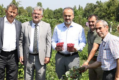 İthalatın önüne geçme hedefi