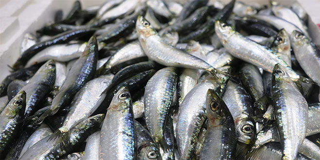 Beklenti büyük! Sezon 1 Eylül’de açılıyor