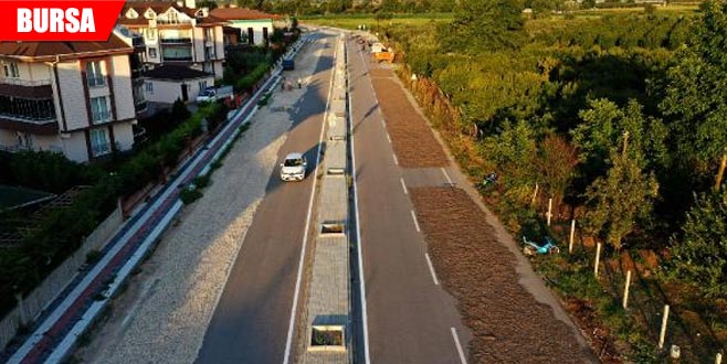 Çekirdeği kurutmak için yolun birer şeridini kapattılar