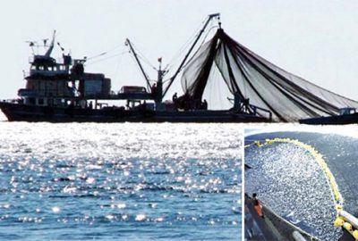 Av sezonu açılıyor