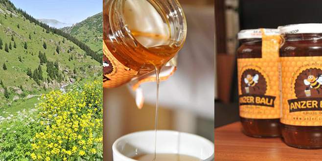 Anzer balının kilogramı bin TL Anzer balının kilogramı bin TL