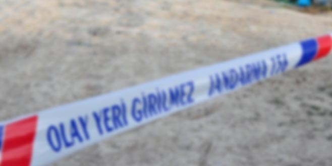 Ormanda belden yukarısı olmayan ceset bulundu