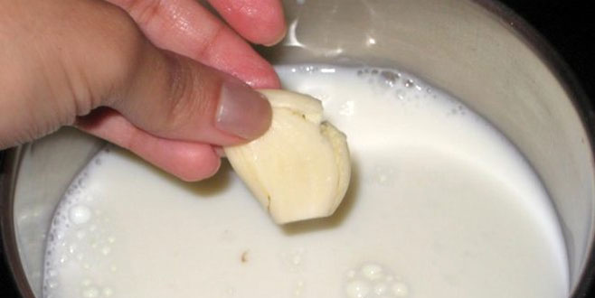 Sarımsağı sütle birlikte yediğinizde bakın ne oluyor! Etkisi inanılmaz