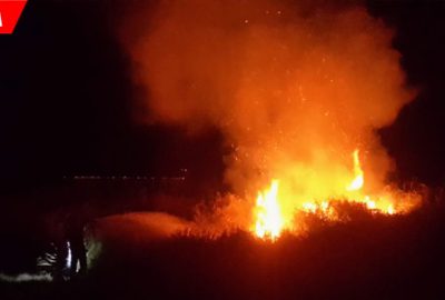 Çalılık yangını korkuttu