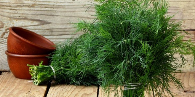 Etkisini kimse bilmiyor! Bir hafta tüketin ve..