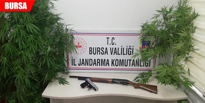 Uyuşturucu tacirlerine geçit yok Uyuşturucu tacirlerine geçit yok