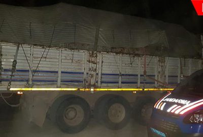 Jandarma 20 ton kaçak tomruk ele geçirdi