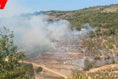Makilik alanda çıkan yangın söndürüldü