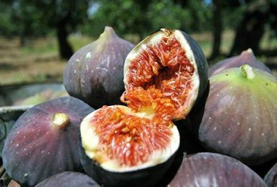 ‘Bursa siyahı’na ABD yolu açılıyor