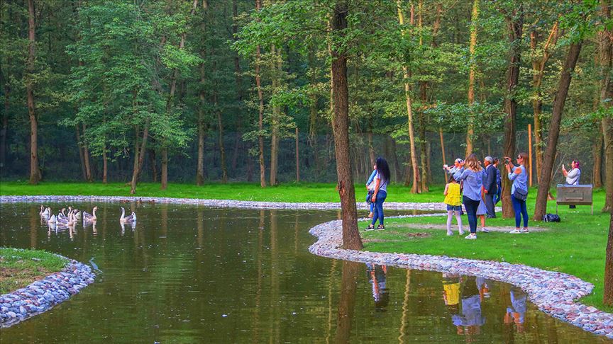 ‘Avrupa’nın en büyük doğal yaşam parkı’ film seti oldu ‘Avrupa’nın en büyük doğal yaşam parkı’ film seti oldu