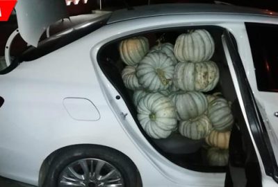 ‘Bal kabağı’ operasyonu