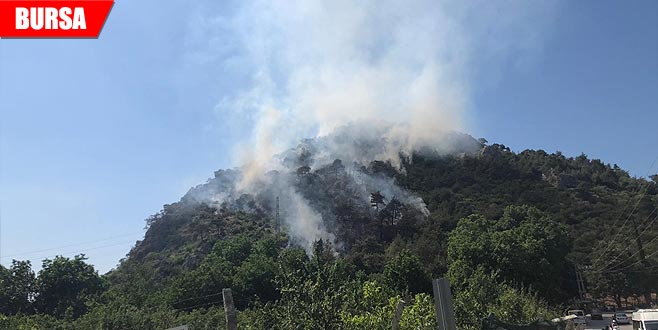 2 ay önceki orman yangınıyla ilgili gözaltı