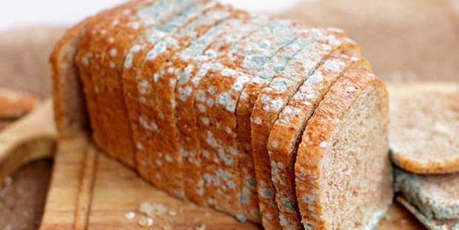 Küflü tarafı kesip geriye kalanı yemek zararlı mı? Küflü tarafı kesip geriye kalanı yemek zararlı mı?