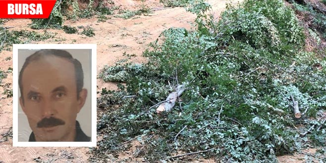 Ormanda feci ölüm