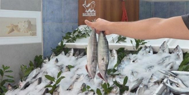 Az olunca fiyatı 7’ye katlandı