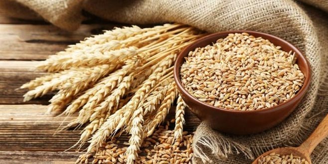 Değirmencilik sektöründen 144 ülkeye ihracat