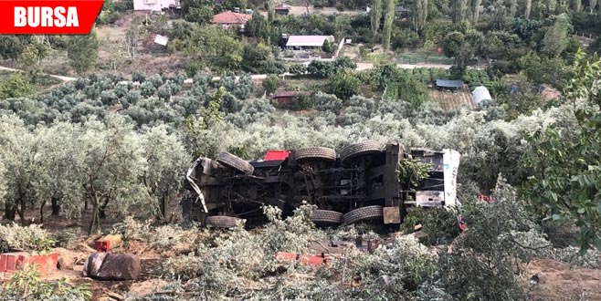 100 tonluk vinç zeytinliğe yuvarlandı 100 tonluk vinç zeytinliğe yuvarlandı