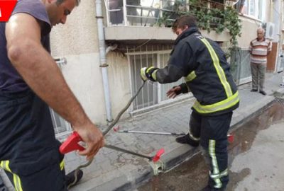 Nefes kesen yılan operasyonu