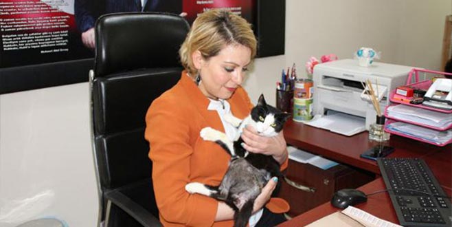 Makam odasında yaralı hayvanlara bakan müdür yardımcısına ceza