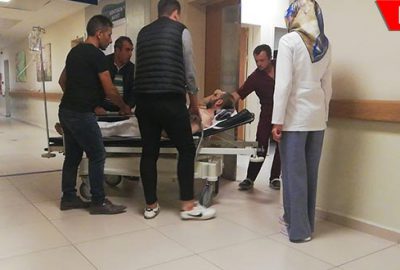 Ceviz toplarken ölümden döndü